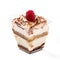 Isolated tiramisu trifle dessert with raspberry