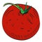 Isolated tomato illustration