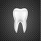 Isolated tooth dental vector realistic white single graphic. Tooth illustration single 3d