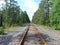 Isolated Train Tracks in Woods