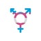 Isolated transgender symbol vector design