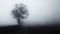 Isolated tree in fog surrounded by mysterious gloomy landscape