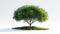 Isolated Tree Illustration in 3D Rendering