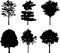 Isolated trees 18. Silhouettes