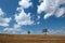 Isolated trees on top of a soft hill in Chianti area.