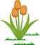 Isolated tulips flowers vector
