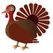 Isolated turkey icon