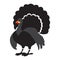 Isolated turkey icon