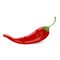 Isolated vector chilli