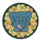 Isolated vector illustration colorful design of a cute meditating elephant on abstract lotus