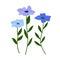 Isolated vector illustration. Floral decor. periwinkle flower. Vinca minor. Blue flowers on white background. barvinok.