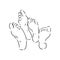 Isolated vector illustration. Hand drawn sketch of a bare human foot or sole.