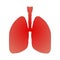 Isolated vector illustration of human lungs. lung organ anatomical symbol for health and medical illustrations