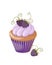 Isolated violet cupcake with blueberry