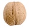 Isolated walnut