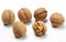 Isolated Walnuts on White Background