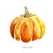 Isolated watercolor color organic orange big pumpkin