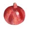 Isolated watercolor drawing. Bright, juicy pomegranate.