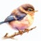 isolated watercolor springtime baby bird