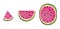 Isolated watermelon slices. Fresh fruits cut in half pink melon in a row isolated on white background with clipping path
