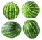 Isolated watermelons collection