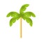 Isolated wax palm icon Colombian flora Vector