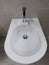 Isolated White bidet