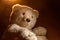 Isolated white Teddy bear on black background. There is a rim light from a simulated evening sun.