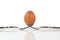 Isolated whole brown egg balanced on two forks