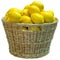 Isolated wicker basket full of lemon