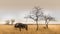 Isolated wildebeest near a tree in the savannah, Etosha national park, Namibia