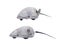 Isolated wind-up mouse toy.