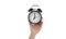 Isolated woman\\\'s hand holds a black alarm clock