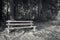 Isolated wooden bench in forest in black and white