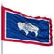 Isolated Wyoming Flag on Flagpole, USA state