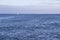 Isolated yacht sailing in the blue Atlantic Ocean near Monterey, California