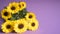 Isolated yellow flowers on violet background with copy space. Chrysanthemums, chrysanths or mums flowers as background.