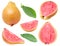 Isolated yellow pink fleshed guava pieces set