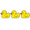 Isolated yellow rubber ducks illustration