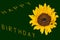 Isolated yellow sunflower blossom and the text Happy Birthday designed with blossoms