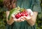 Isolated young woman holding some cherries in her hands. Big red cherries with leaves and stalks. One person on the background.