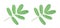 Isolatedâ€‹ Mimosa pudica, sensitive plantâ€‹ leafâ€‹ onâ€‹ whiteâ€‹ background.â€‹