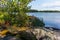 An isoled lilac lupin wildflower on the rocky shore of the Saimaa lake in the Linnansaari National Park in Finland - 1