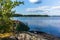 An isoled lilac lupin wildflower on the rocky shore of the Saimaa lake in the Linnansaari National Park in Finland - 2