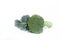 Isoleted beautiful fresh Broccoli