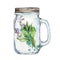 Isoleted Tumbler with stainless steel lid and a sage branch inside. Watercolor hand drawn painted illustration.