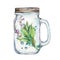 Isoleted Tumbler with stainless steel lid and sage. Watercolor hand drawn painted illustration, water line and bubbles.