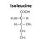 Isoleucine amino acid. Chemical molecular formula isoleucine amino acid. Vector illustration on isolated background