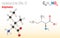 Isoleucine (Ile, I) amino acid molecule. (Chemical formula C6H13NO2)