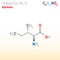 Isoleucine (Ile, I) amino acid molecule. (Chemical formula C6H13NO2)